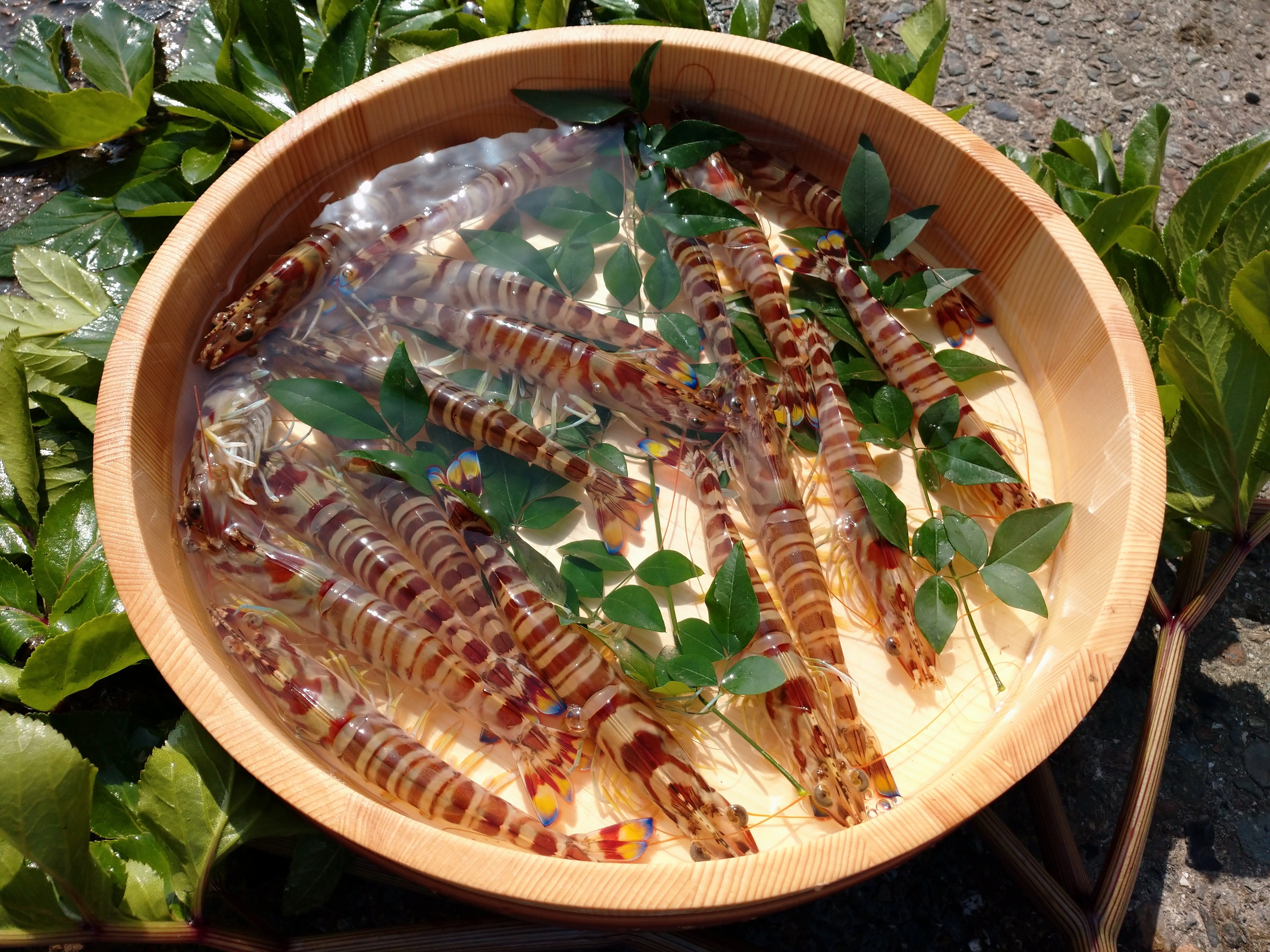 匠の車えび】丸山えび