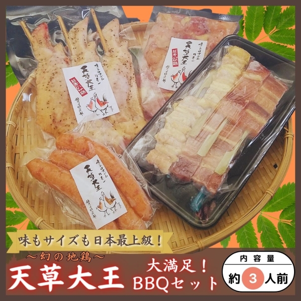 天草大王　BBQセット