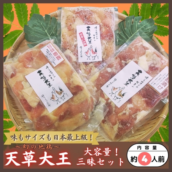天草大王　三味セット