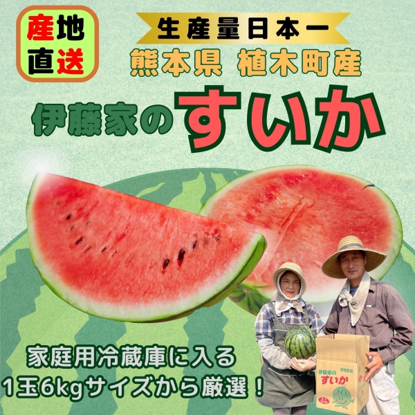 伊藤家のすいか■