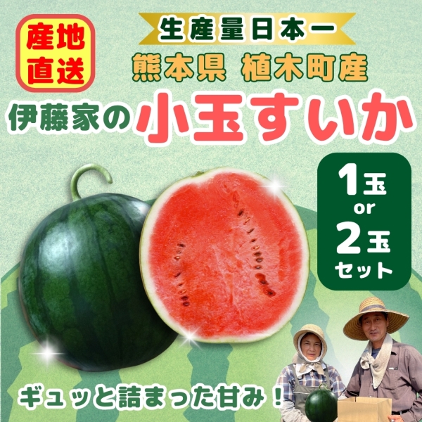 伊藤家の小玉すいか■
