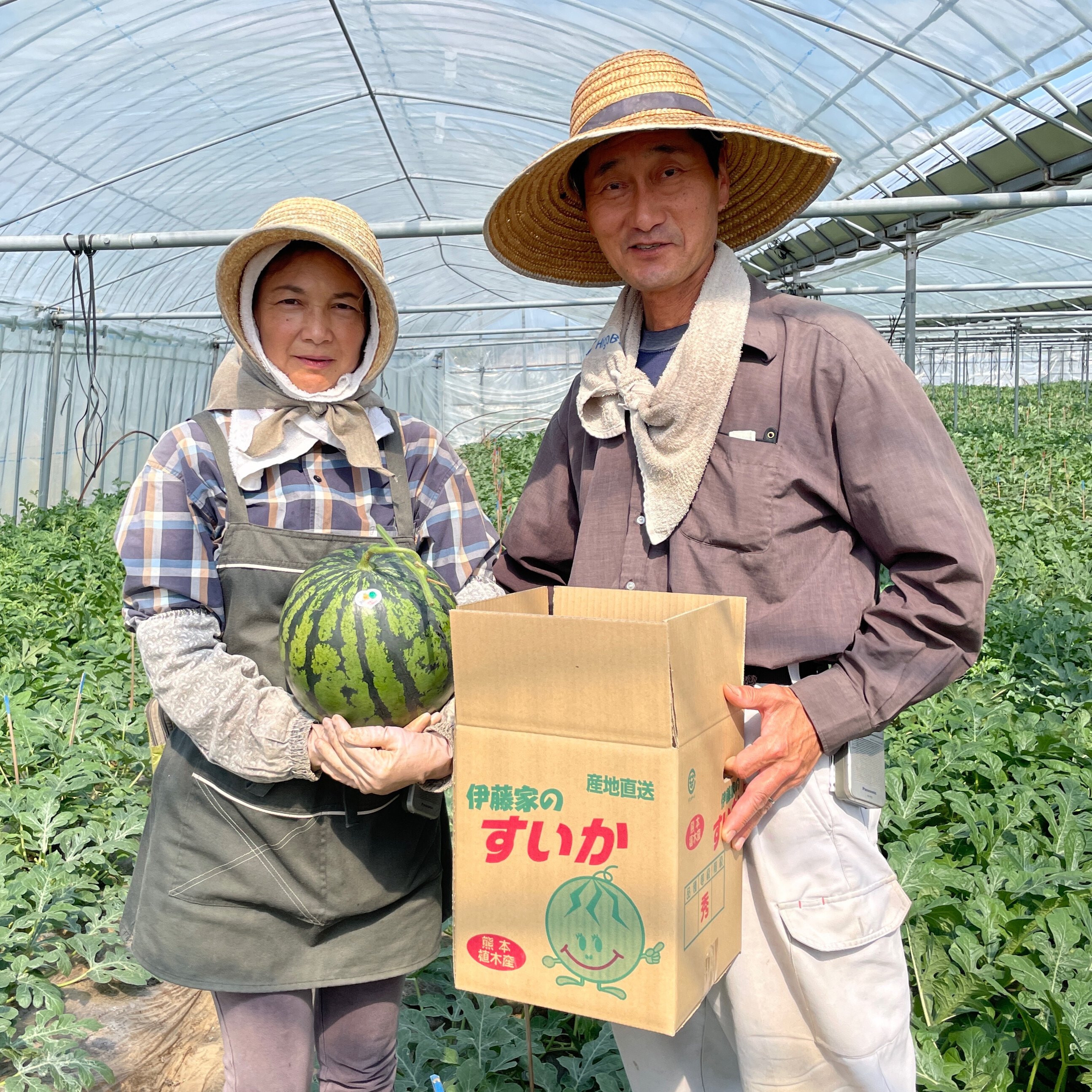 伊藤家のすいか