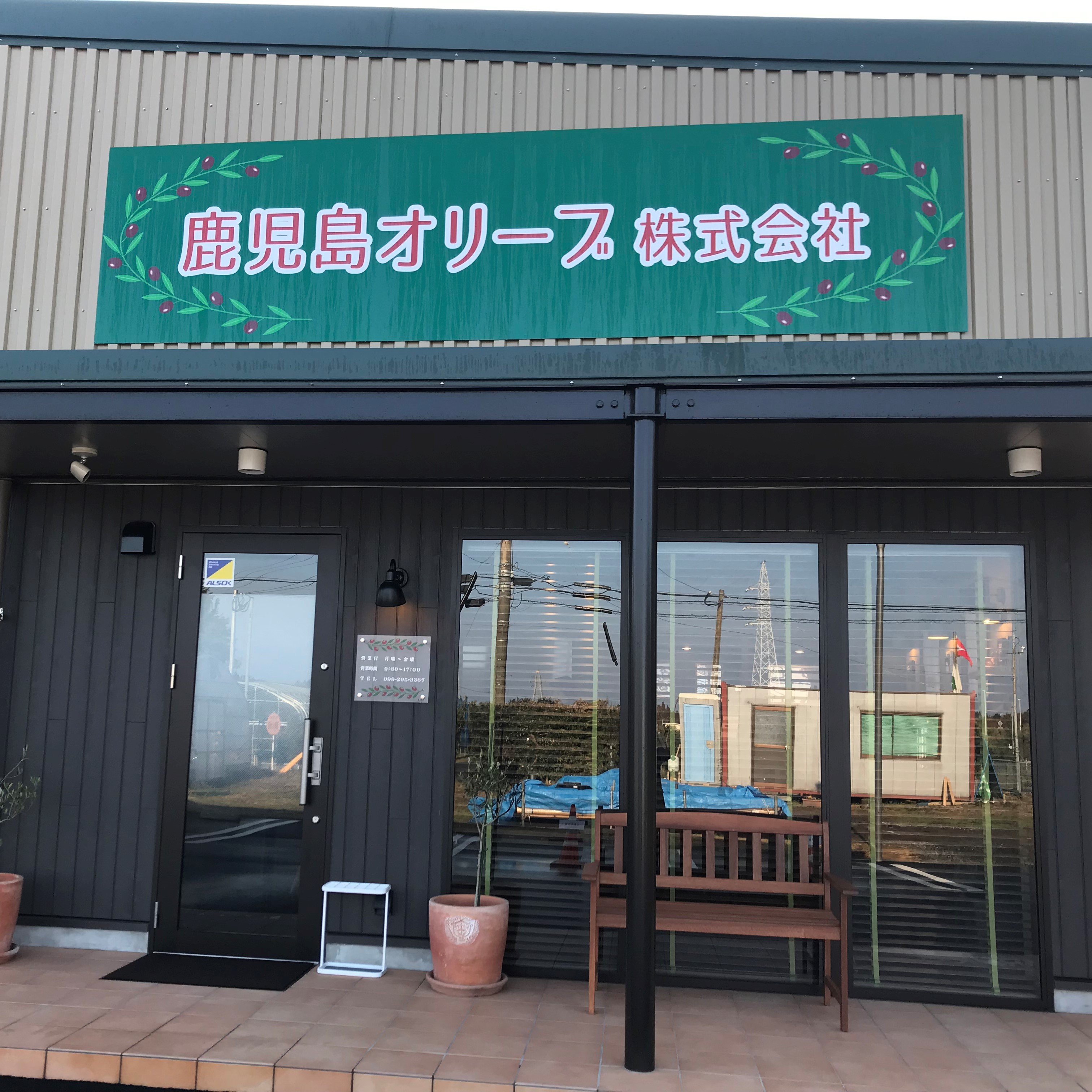 鹿児島オリーブ