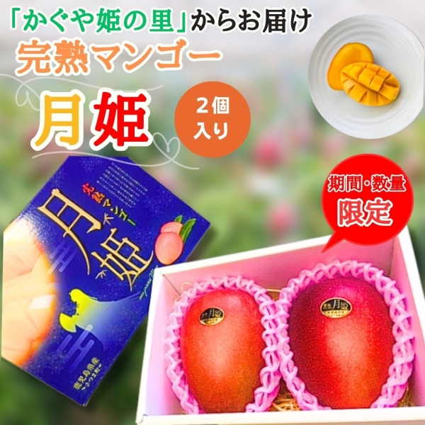 完熟マンゴー「月姫」2個入り（700g以上）