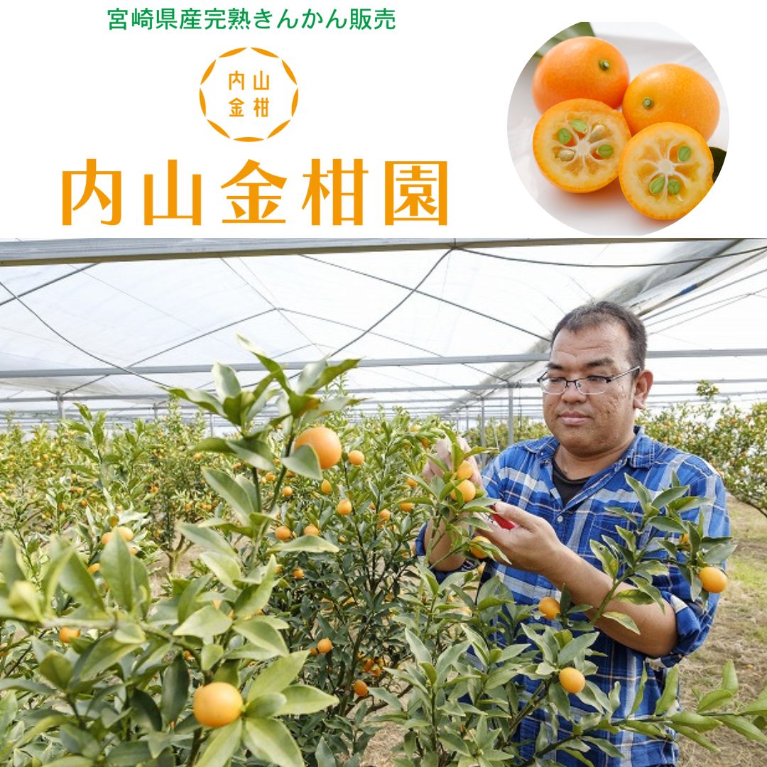 内山金柑園