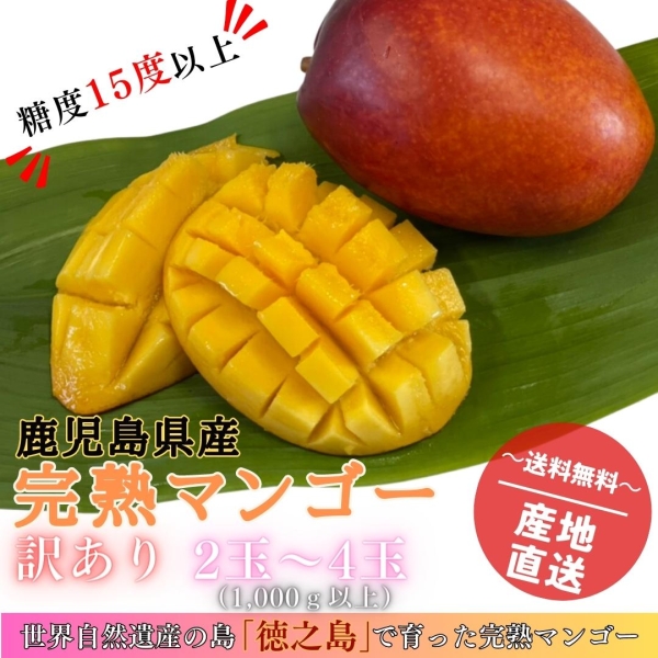 世界自然遺産“徳之島産” プレミアムマンゴー（訳あり1㎏以上）