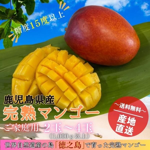 世界自然遺産“徳之島産” プレミアムマンゴー（ご家庭用1㎏以上）