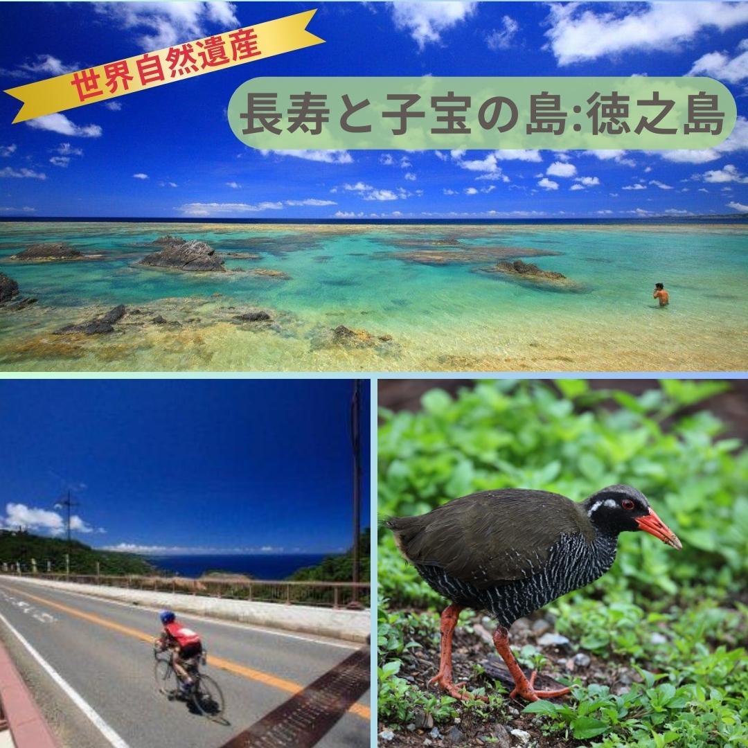 徳之島ショップ吉三ｰYOSHIZO‐
