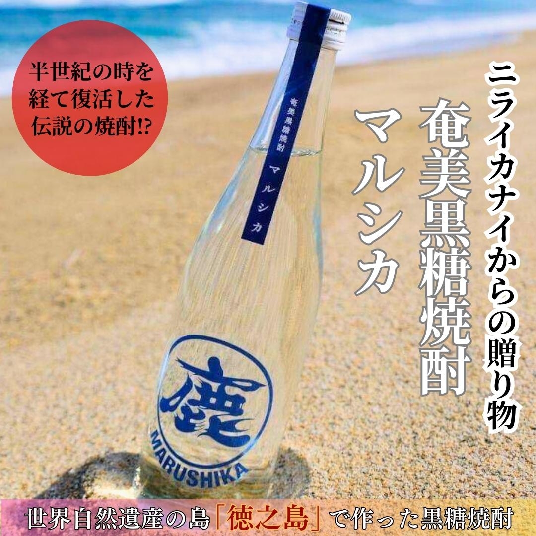 奄美黒糖焼酎 マルシカ 2本入り 松永酒造場
