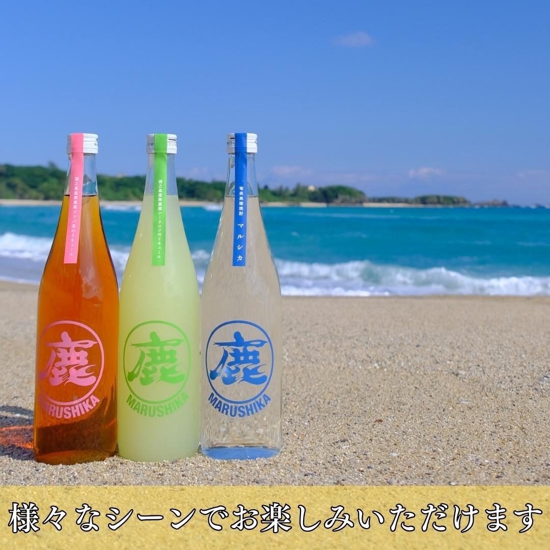 徳之島産無農薬シークニンリキュール 2本入り 松永酒造場