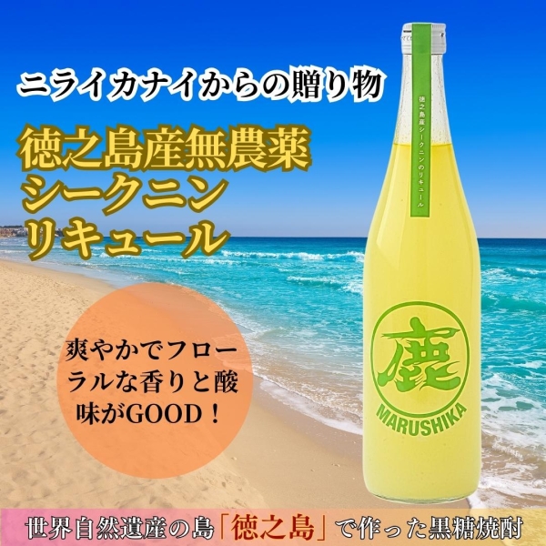 徳之島産無農薬シークニンリキュール 2本入り
