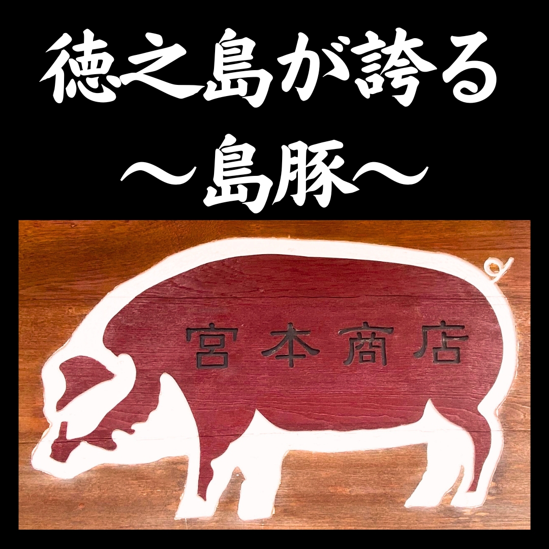 宮本商店