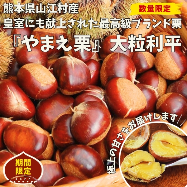 やまえ栗　生栗(利平)　2kg