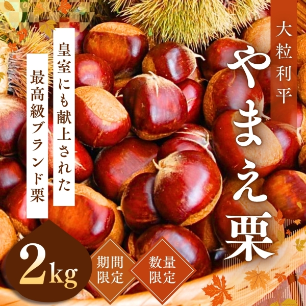 やまえ栗　生栗(利平)　2kg