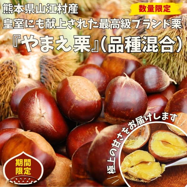 やまえ栗　生栗（品種混合）2kg