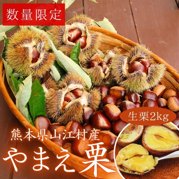 やまえ栗　生栗（品種混合）2kg