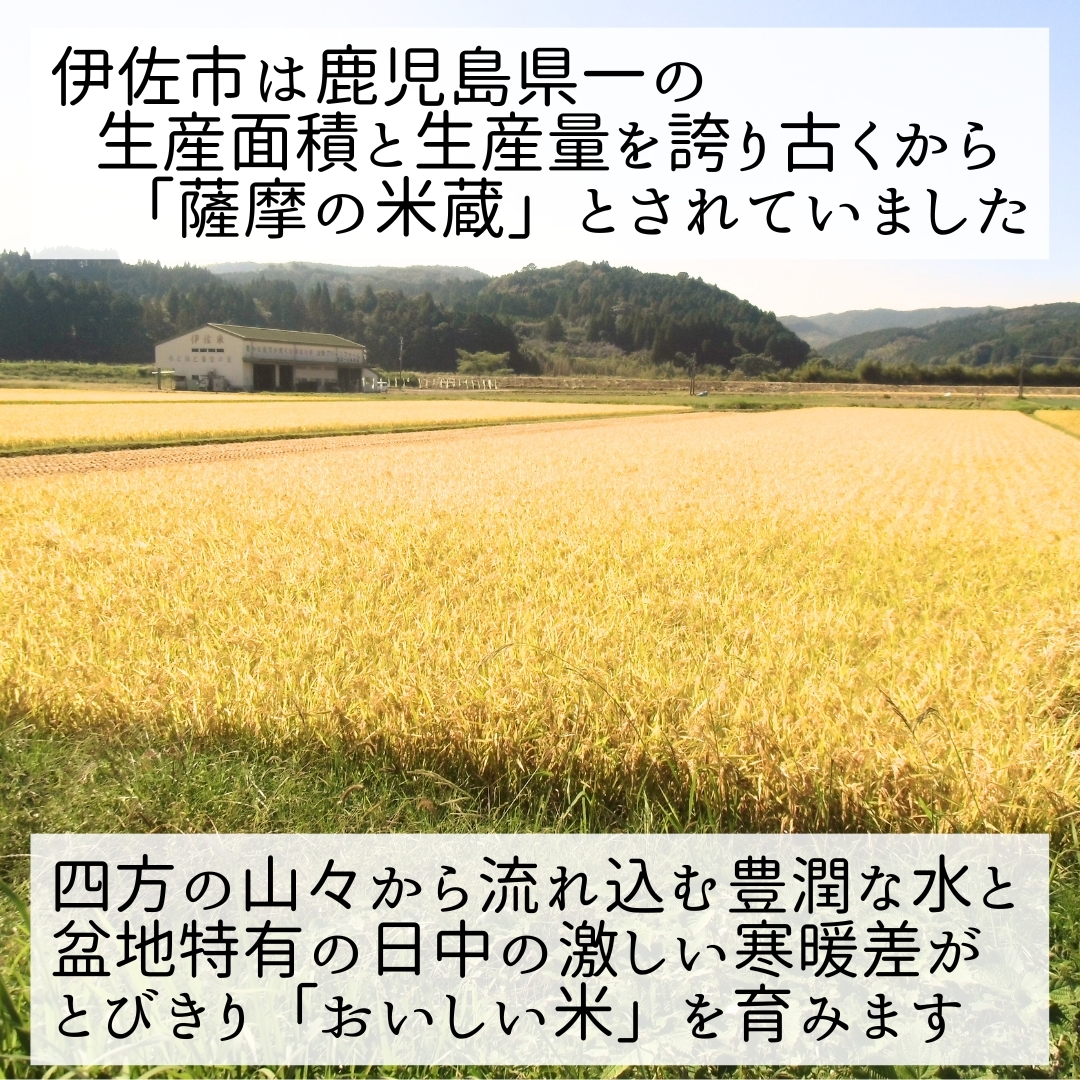 令和6年産】伊佐のお米ひのひかり(2kg×2袋) 猩々農園 令和6年産】伊佐のお米ひのひかり(2kg×2袋) 猩々農園
