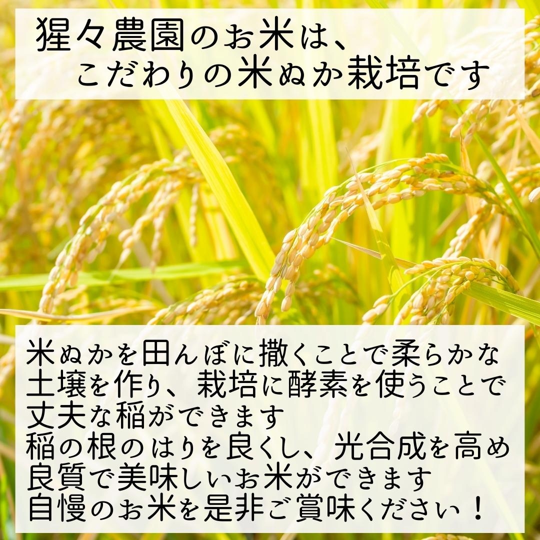 令和7年産】伊佐のお米ひのひかり(5kg) 猩々農園 令和7年産】伊佐のお米ひのひかり(5kg) 猩々農園