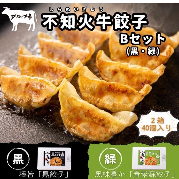 不知火牛餃子Bセット(黒・緑)