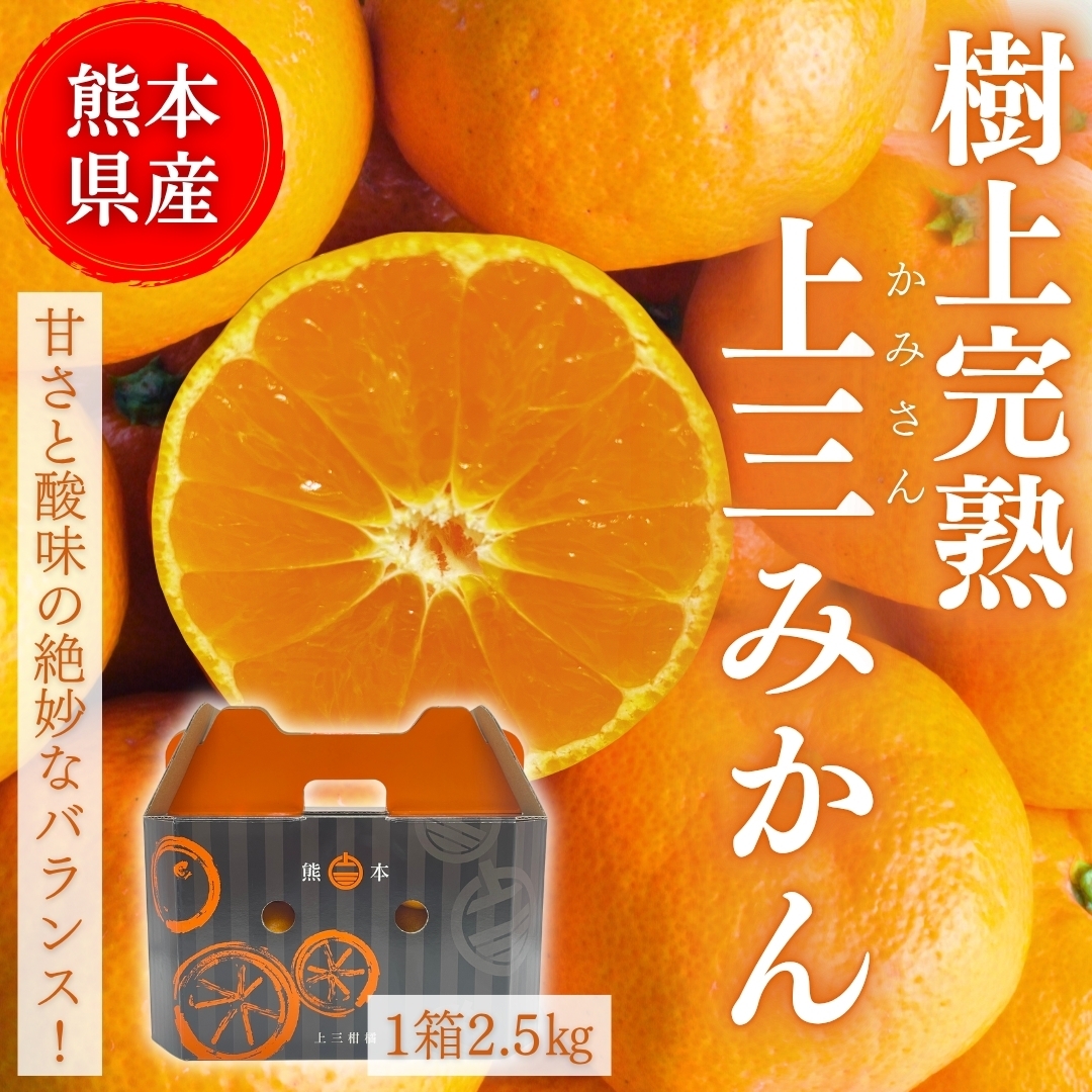 【熊本県産】樹上完熟上三みかん