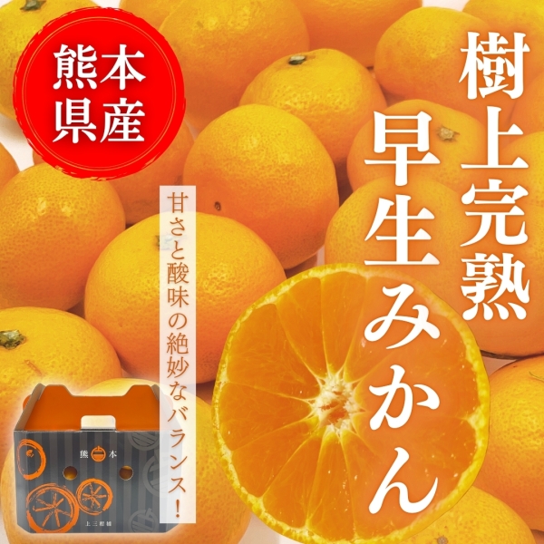 【完熟】早生みかん2.5㎏