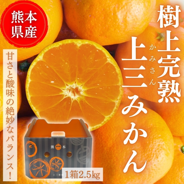 【熊本県産】樹上完熟上三みかん