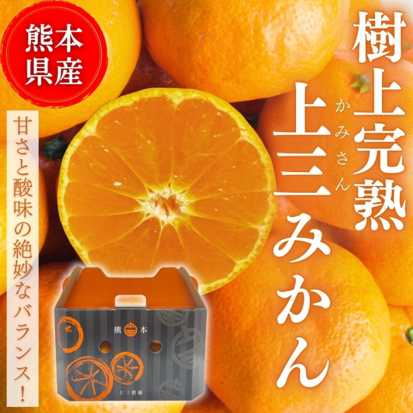 【熊本県産】樹上完熟上三みかん
