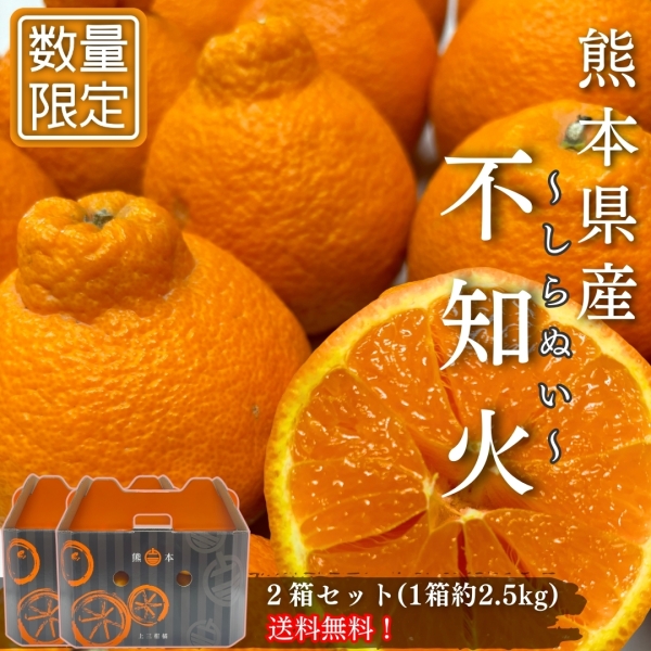【完熟】不知火 5㎏
