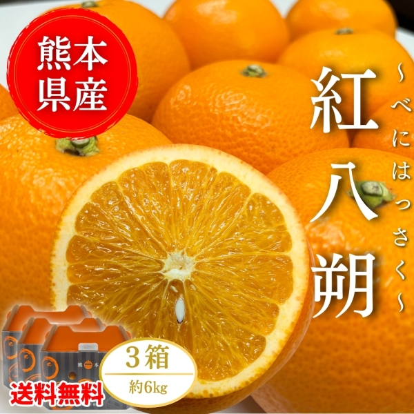 【熊本県産】紅八朔 6㎏