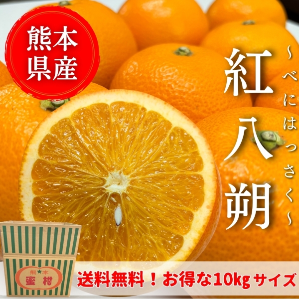 【熊本県産】紅八朔 10㎏
