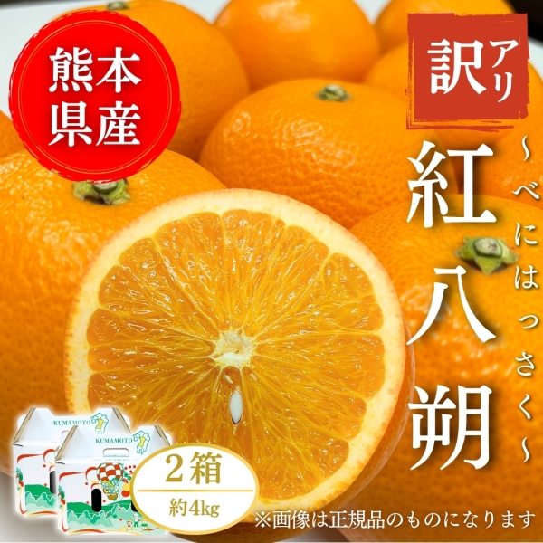 【熊本県産】【訳アリ】紅八朔 4㎏