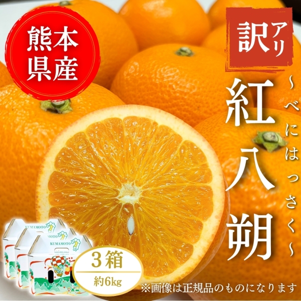 【熊本県産】【訳アリ】紅八朔 6㎏
