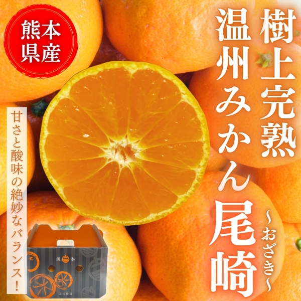 【完熟】早生みかん5㎏