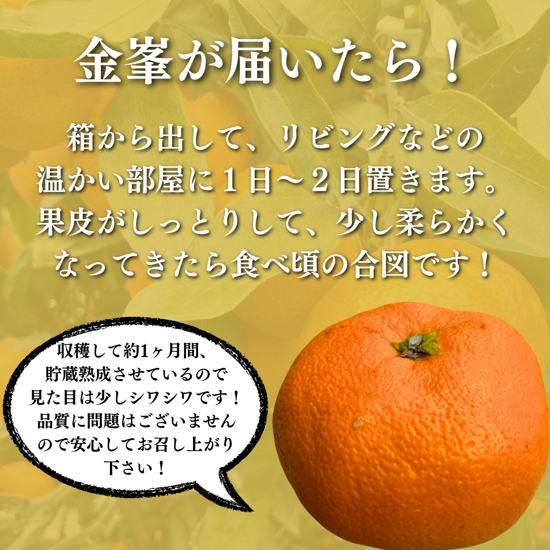 熊本県産】貯蔵熟成 金峯みかん 上三柑橘