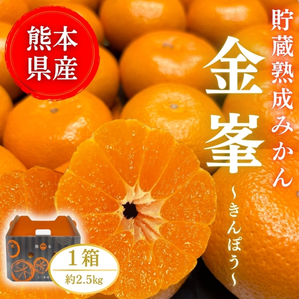 【熊本県産】金峯 2.5kg（貯蔵熟成みかん）