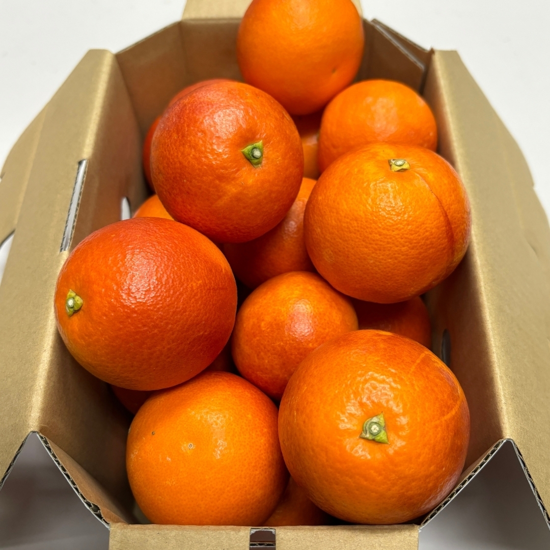 Grandmother 123073 オレンジ 7インチ　A#-5 若宮さんちの淡路島なるとオレンジ（約10㎏）: あつめて、兵庫