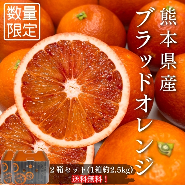 【超希少】熊本県産ブラッドオレンジ 5㎏