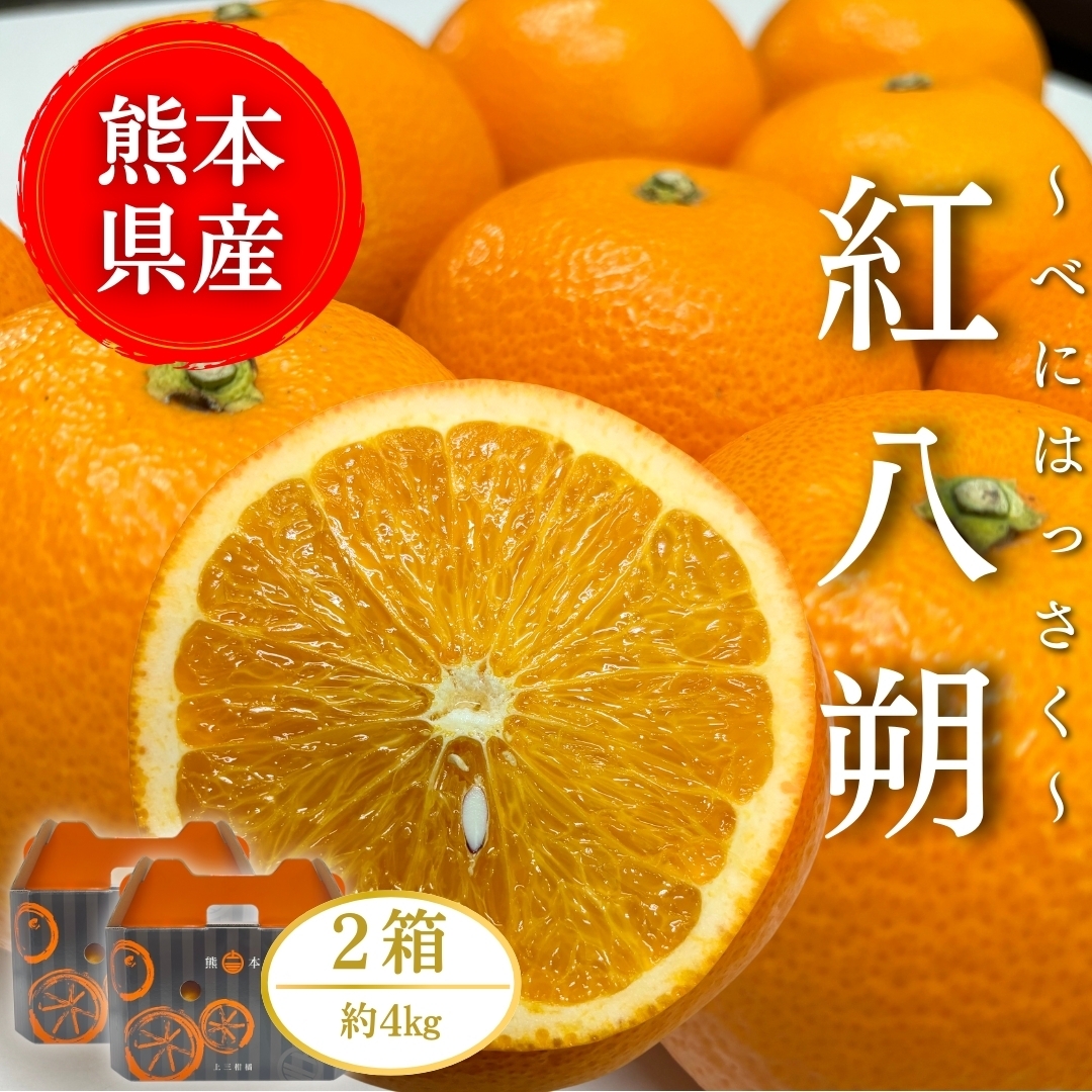 熊本県産】紅八朔 4㎏ 上三柑橘