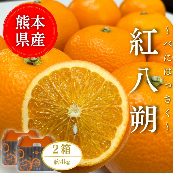 【熊本県産】紅八朔 4㎏