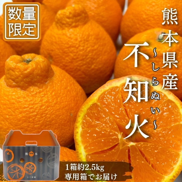 【完熟】不知火 2.5㎏