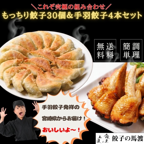 もっちり餃子30個と手羽餃子4本セット