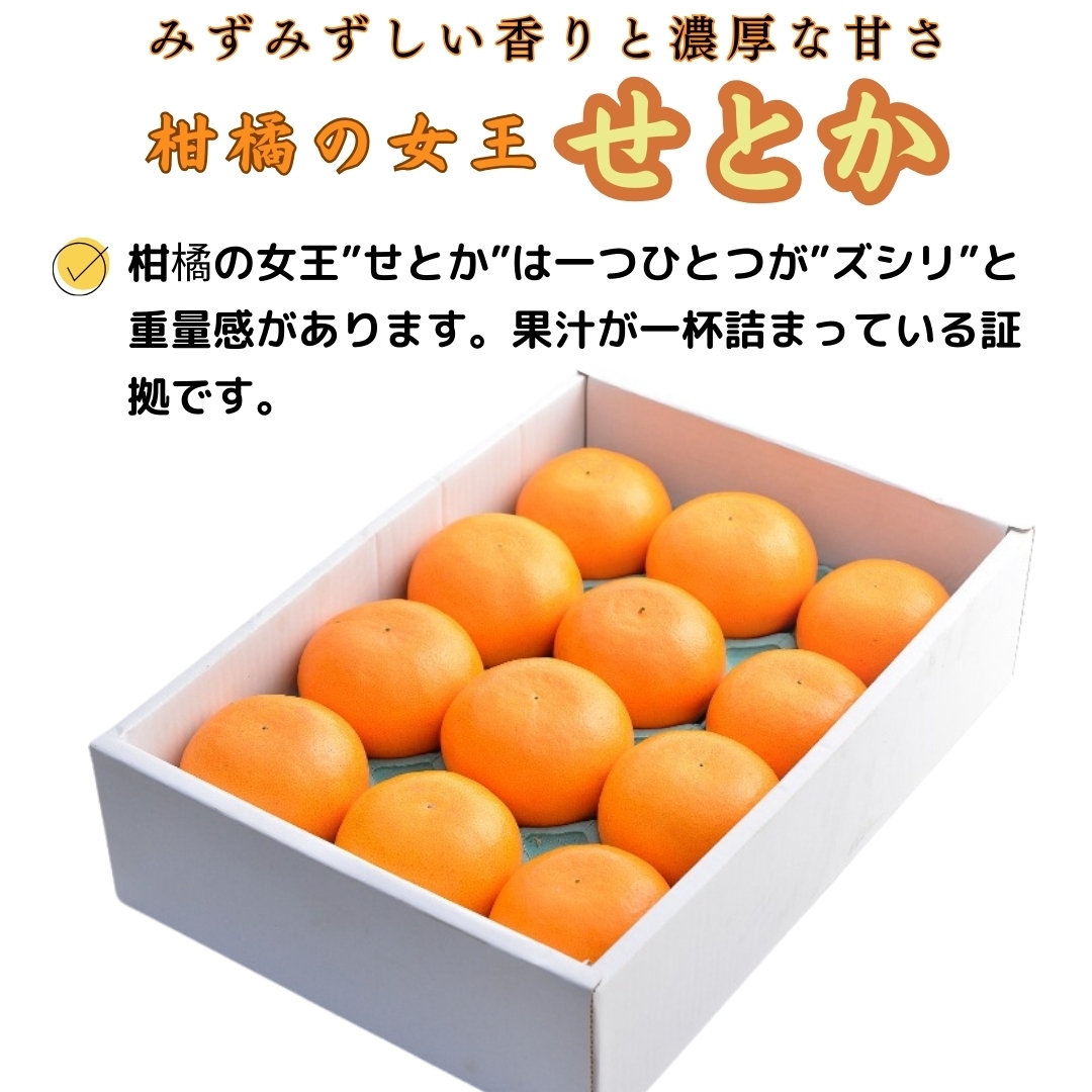 せとか 加工品お試しセット（ｼﾞｭｰｽ・ｾﾞﾘｰ・飲むゼリーセット） cozy farm