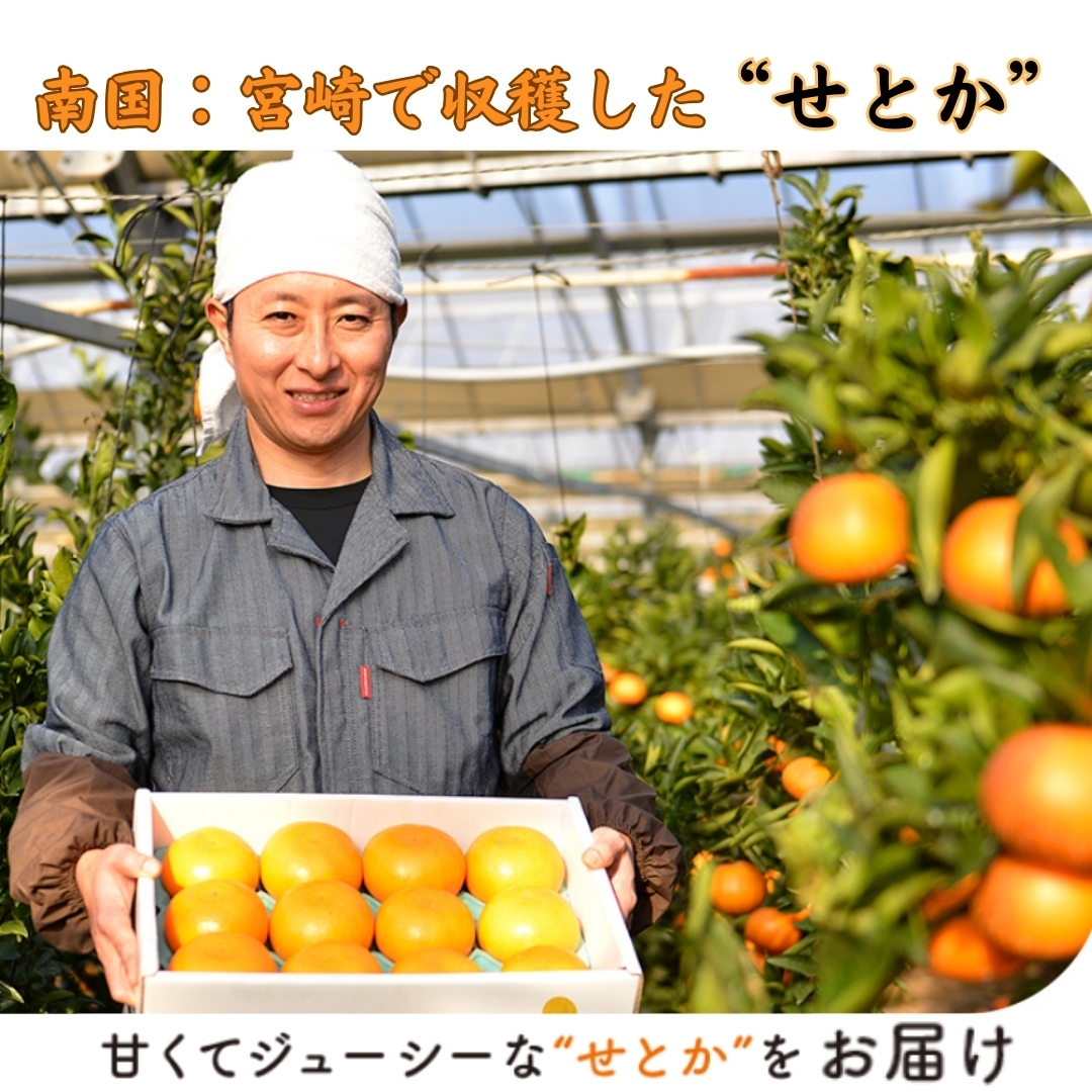 まとめ売り　セプテム　商品明細は画像と説明文にて確認 売上比較（商品属性別）を確認する – スマレジ・ヘルプ