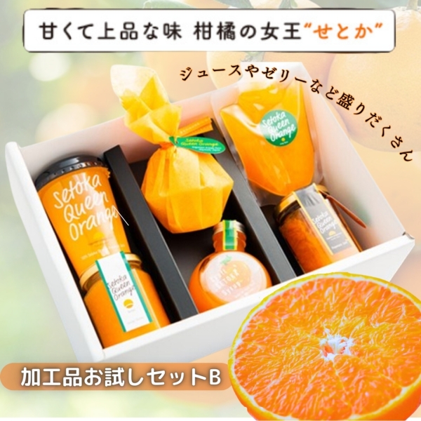 せとか加工品お試しセット（ｼﾞｭｰｽ・ｾﾞﾘｰ・飲むｾﾞﾘｰ・ｼﾞｬﾑ・ﾊﾞﾀｰ・ｼﾛｯﾌﾟ）