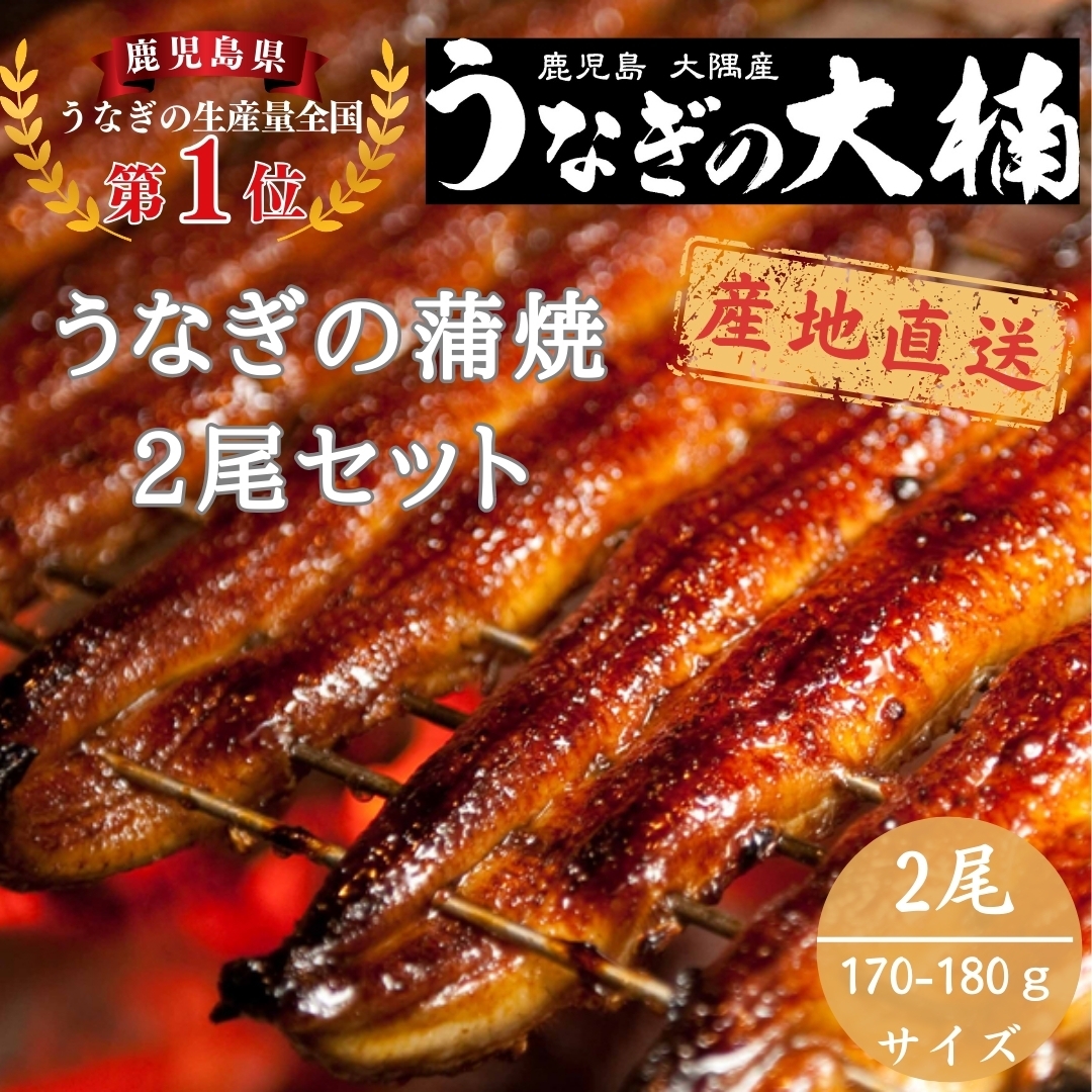 うなぎ蒲焼170g~180g（2尾セット） うなぎの大楠
