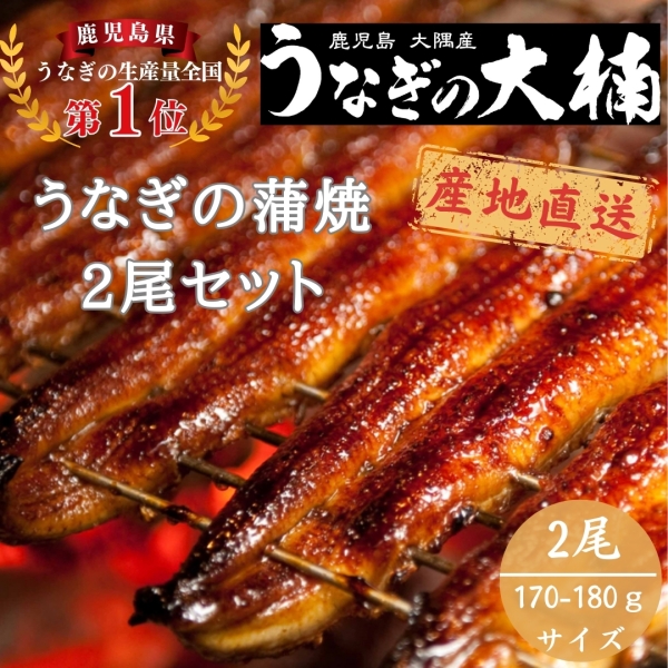 うなぎ蒲焼170g~180g（2尾セット）