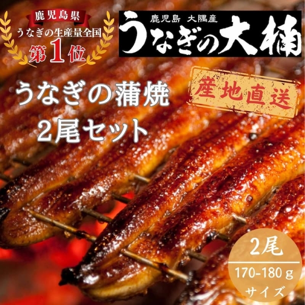 うなぎ蒲焼170g~180g（2尾セット）