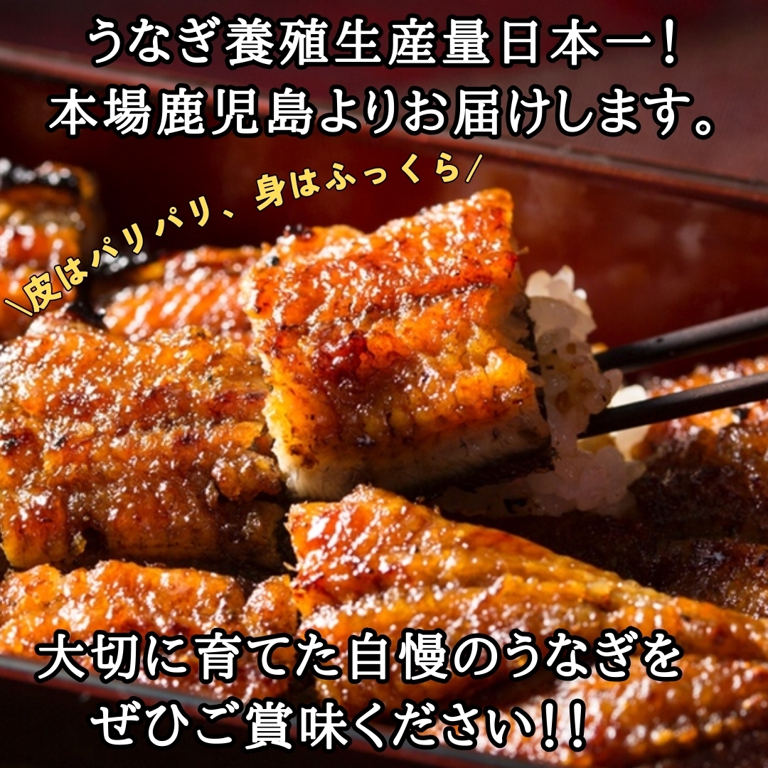 うなぎ蒲焼150g~160g（4尾セット） うなぎの大楠