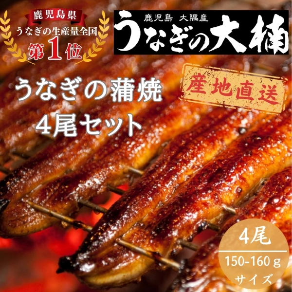 うなぎ蒲焼150g~160g（4尾セット）
