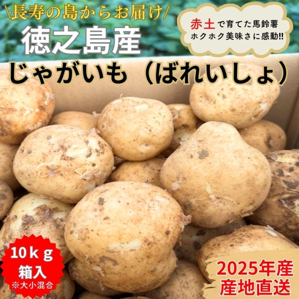 徳之島産じゃがいも（ばれいしょ）10kg